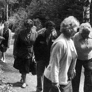 Group of people hiking on a forested trail.