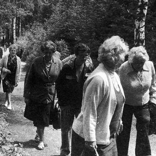 Group of people hiking on a forested trail.