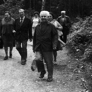 Group of people walking together on a forested path.