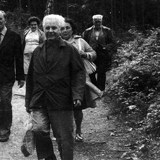 Group of people walking together on a forested path.