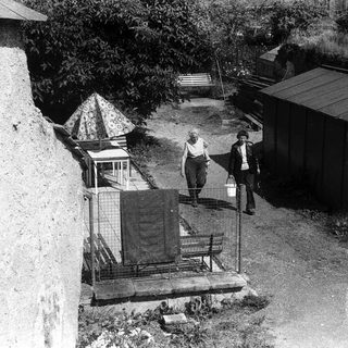 Two people standing near garden shed and old stone wall.