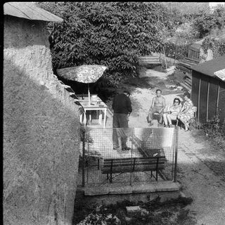 People relaxing in a backyard courtyard with benches.