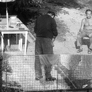 People relaxing in a backyard courtyard with benches.