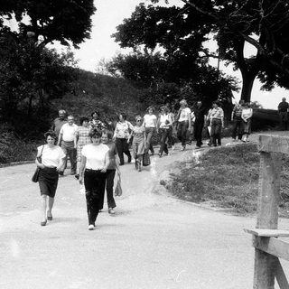 Group of people walking outdoors on a paved path.