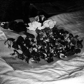 Pile of discarded, burnt or charred items.