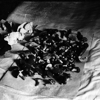 Burnt food remnants on charred wrapping paper.