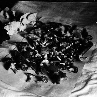 Blackened, charred food remnants on cloth.