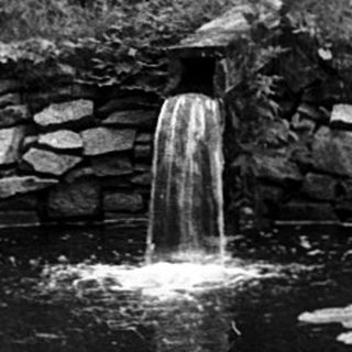 Group gathered around a small waterfall and pond.