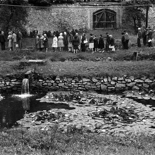 Group gathered around a small waterfall and pond.