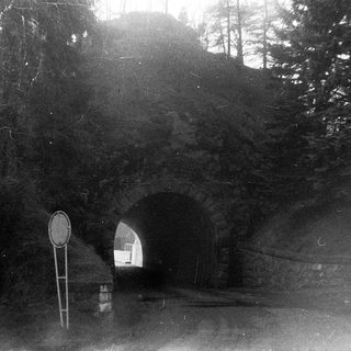 Tunnel entrance with road sign, forest surroundings.