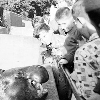 Children observing a hippopotamus at a zoo enclosure.