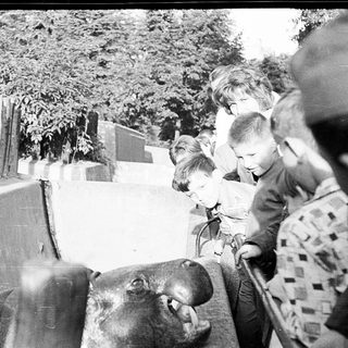 Children observing a hippopotamus at a zoo enclosure.