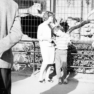 Family feeding zoo monkeys through enclosure bars.