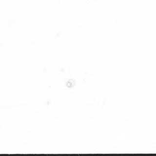 Blurred white image with faint circular mark.