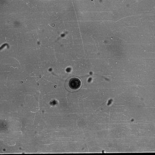 Surface with multiple small impact craters.
