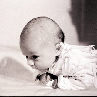 Baby lying on stomach, exploring surface.