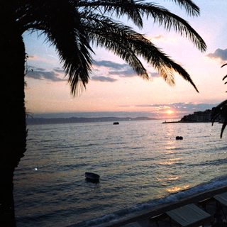 Sunset over calm coastal waters with palm trees.