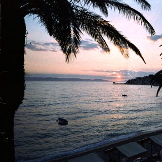 Sunset over calm coastal waters with palm trees.