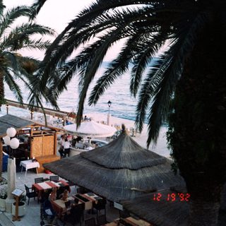 Seaside promenade with beachfront stalls and palm trees.