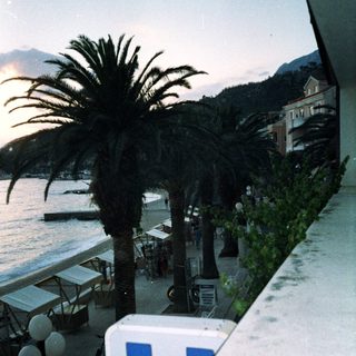 Tropical seaside promenade with palm trees and hotel sign.