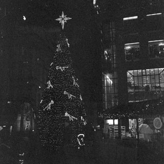 Illuminated Christmas tree display at nighttime.