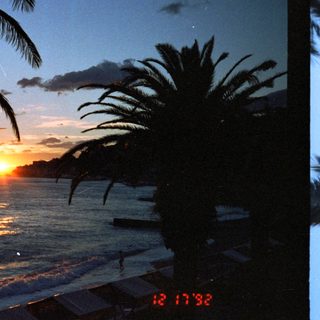 Sunset over ocean with palm trees silhouetted.
