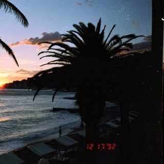 Sunset over ocean with palm trees.