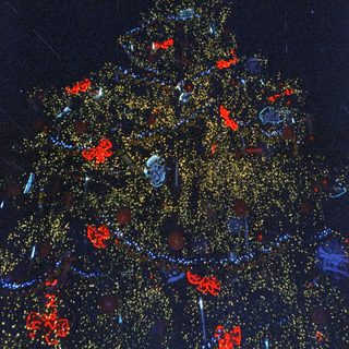 Lit Christmas tree with golden and red ornaments.