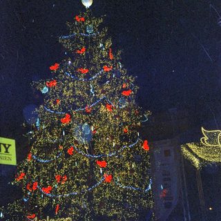 Giant illuminated Christmas tree with red ornaments.