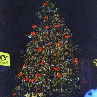 Giant illuminated Christmas tree with gold and red ornaments.