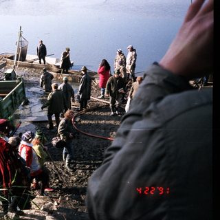 People unloading fish from boats near water.
