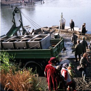 People unloading fish from boats near water.