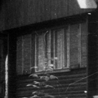 Rural wooden house with parked car and man gardening.