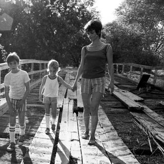 Family walking together on a wooden bridge.