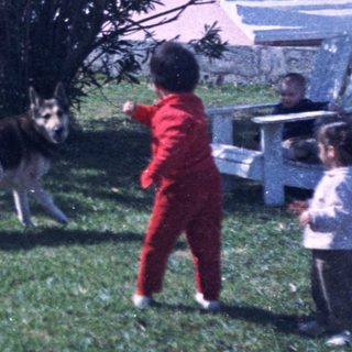 Children playing with dog in backyard.