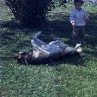 Three children and a dog in backyard.