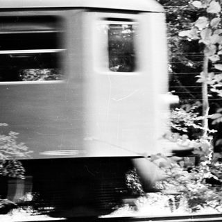 Blurred train passing through leafy area.