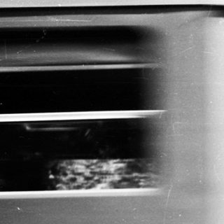 Blurred train passing through leafy area.