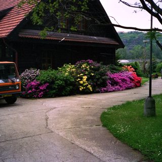 Quaint building with vibrant flowers, parked orange van.