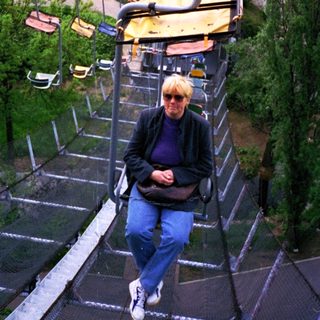 Person riding cable car through green, residential area.