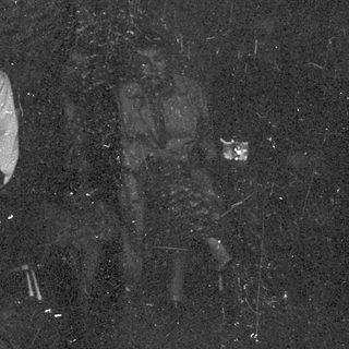 People skiing in low-light or night conditions.