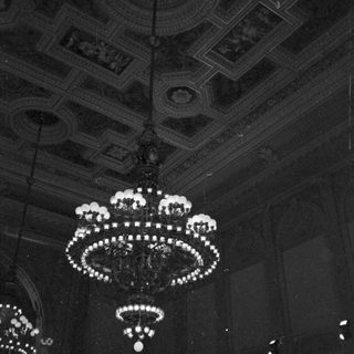 Elegant chandelier with multiple candle-style bulbs.