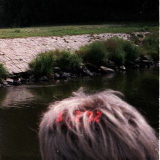 Scenic riverbank with small waterfall and lush greenery.