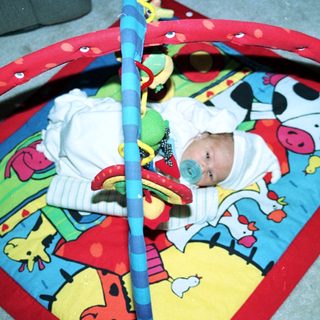 Baby sleeping in colorful playpen with cow-themed blanket.