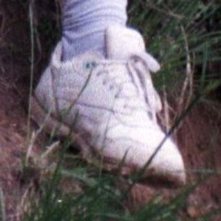 Person resting on grassy hillside near blooming flowers.