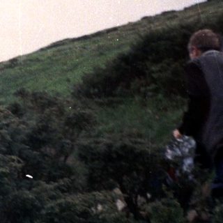 People hiking on a misty, grassy hillside.