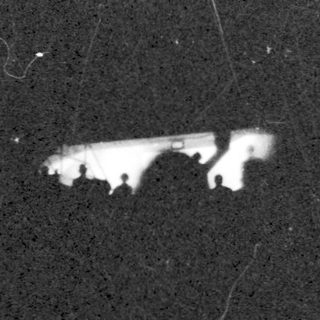 Silhouette of animal against night sky.