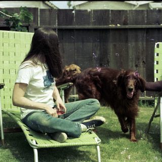 Two people relaxing on lounge chairs with wet dogs.