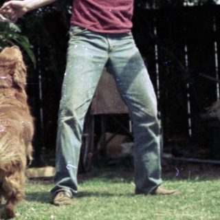 Man throwing frisbee for running dog outdoors.
