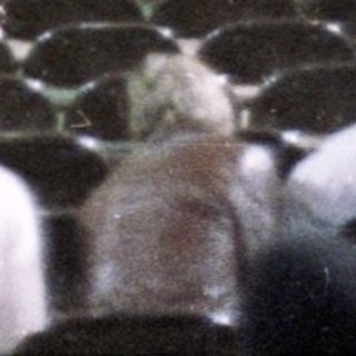 Large indoor arena during a chaotic event.